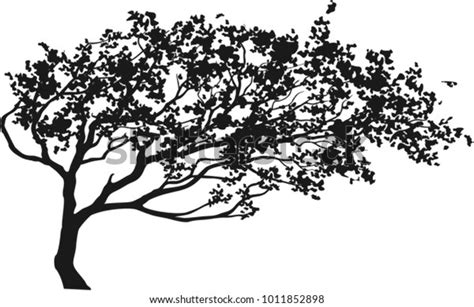 234,328 Black White Tree Drawing Images, Stock Photos & Vectors ...