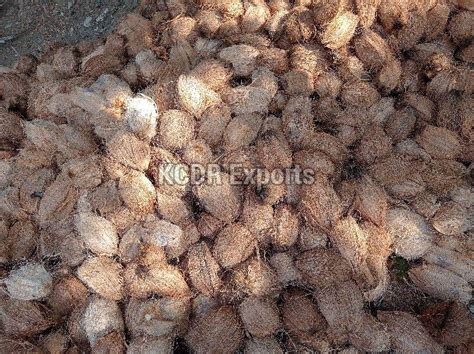 Hard Organic Semi Husked Coconut For Pooja Medicines Color Brown