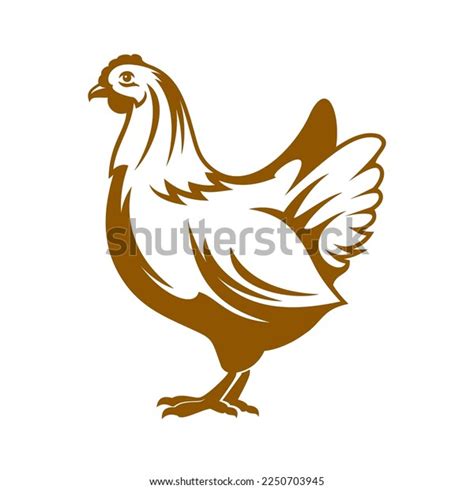 821 Broiler Chicken Farming Stock Vectors And Vector Art Shutterstock