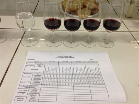 Curso ensina técnicas de análise sensorial de vinhos e espumantes