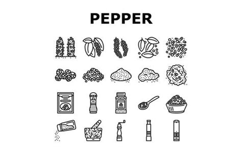 Black Pepper Aromatic Hot Spice Icons Graphic By Stockvectorwin