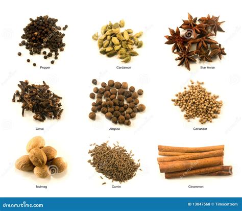 Spice Chart Stock Photo Image Of Dried Allspice Chart