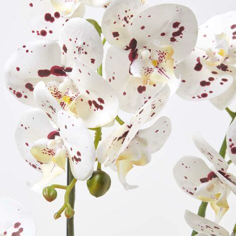 HOMESCAPES Künstliche weiße Phalaenopsis Orchidee im schwarzen Keramik