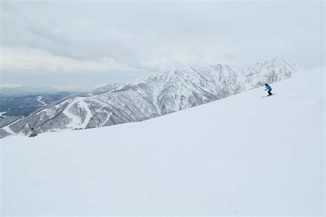 八方尾根 335cm 曇 ゲレンデレポートスノーナビ白馬八方栂池五竜等の観光案内はスノーナビ白馬で