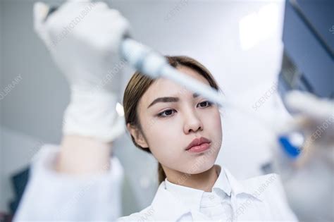 Female Lab Assistant Using Pipette Stock Image F020 3272 Science