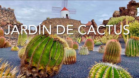 Jardin De Cactus Lanzarote 4K YouTube