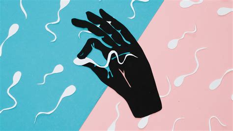 Tambi N Es Tema De Ellos Factores Que Afectan La Fertilidad