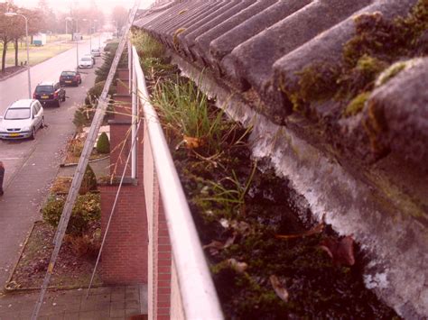 Dakgoot Schoonmaken Bosman Ijsselmuiden