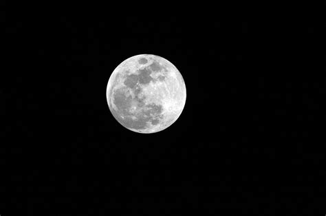 Bulan Purnama Langit Malam Foto Gratis Di Pixabay Pixabay