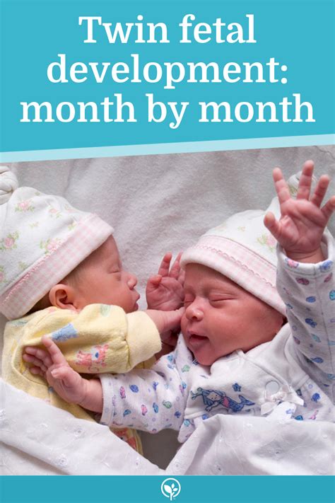 Twins in the womb: Fetal development month by month | BabyCenter ...