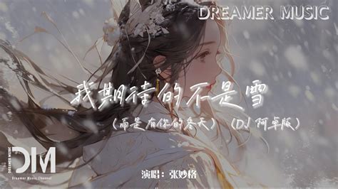 我期待的不是雪（而是有妳的冬天）（dj 阿卓版） 張妙格『我期待的不是雪，而是有妳的冬天』【動態歌詞】 Chords Chordify