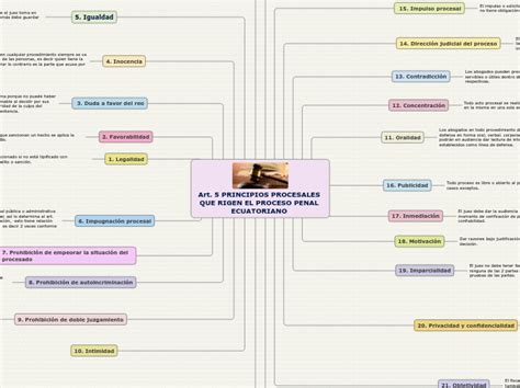 Art 5 PRINCIPIOS PROCESALES QUE RIGEN EL Mind Map