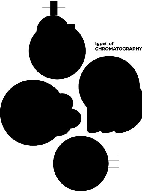 Column Chromatography: The Definitive Guide