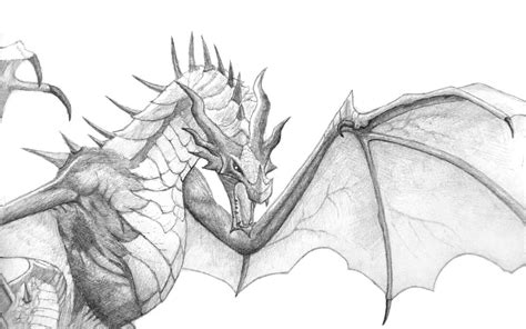 Free Dragon Drawing, Download Free Dragon Drawing png images, Free ...