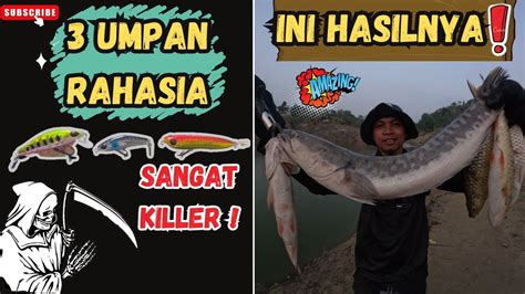 Dijamin Anti Boncos Umpan Terjitu Untuk Casting Ikan Hampala Dan Ikan