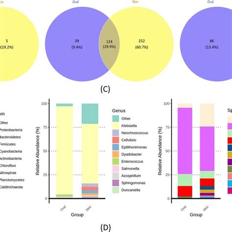 Bacterial Taxonomic Composition And Abundance At Phylum Genus And