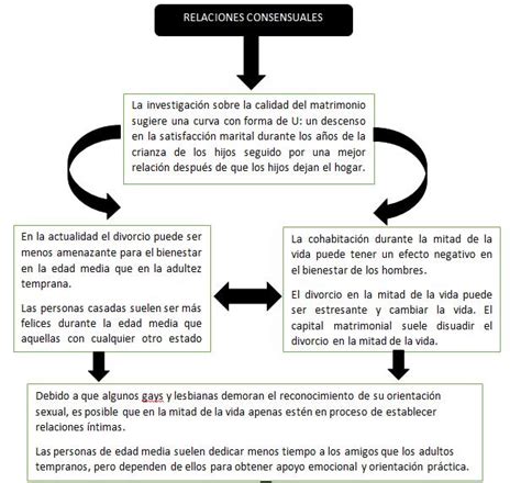 Desarrollo Físico Y Cognitivo En La Edad Adulta Intermedia Issuu