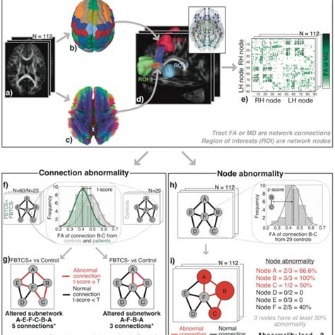 Overall Approach Diffusion MRI To Whole Brain Structural Connectivity