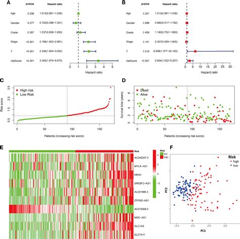 Frontiers Identification Of A Ferroptosis Related Signature Model