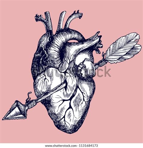 Human Heart Pierced Arrow Boho Hand Stock Vector Royalty Free