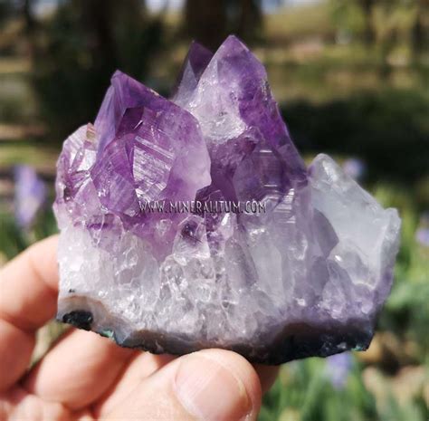 Amethyst Quartz Mineralitum Exclusive Minerals Online Mineral Shop