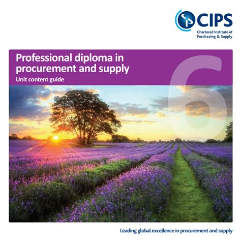 Cips Level 6 Sr Supply Chain Consultants