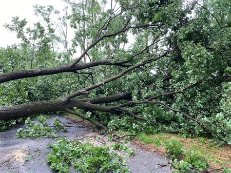 Canavese Danni Maltempo Soldi In Arrivo Per Agli Quincinetto San