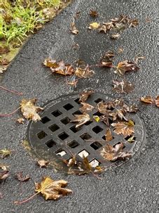 The Difference Between Storm Drains And Catch Basins