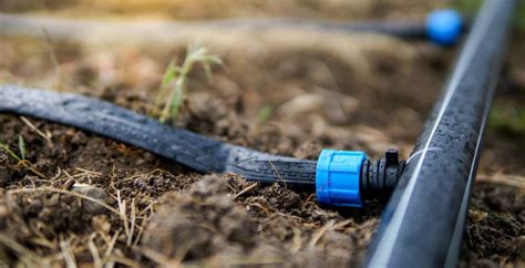 How To Connect Drip Irrigation Hose Chicago Land Gardening