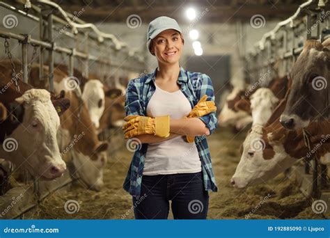 Female Worker Posing On A Cow Dairy Farm Stock Photo Image Of