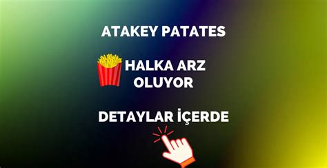 ATAKEY PATATES HALK ARZ DETAYLARI