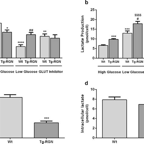 Glucose A And Lactate B Content In The Set Fluid Of Wt And Tg Rgn