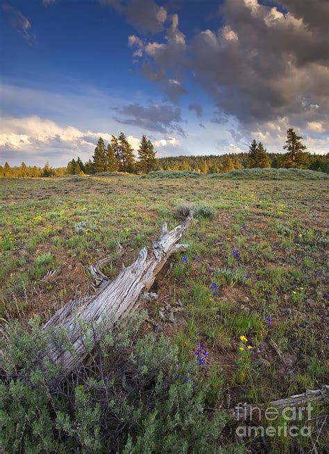 Under Stormy Skies Photograph By Michael Dawson Fine Art America