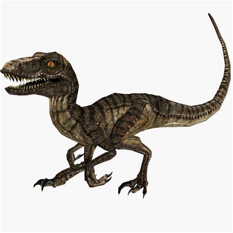 Velociraptor ANIMERAD 3D Modell 119 Ma Max Unknown Obj Fbx