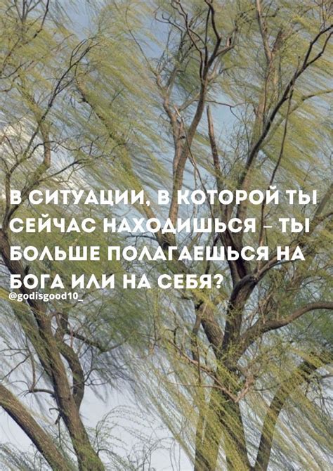 An Image Of Trees With The Words In Russian