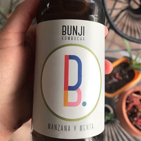 Bunji Kombucha Manzana Y Menta Reviews Abillion