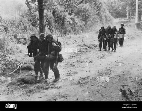 Waffen Ss Mit Verwundeten Fotos Und Bildmaterial In Hoher Auflösung