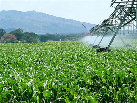 Descubre Cómo La Ingeniería Agroindustrial Está Cambiando La Forma De