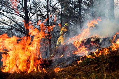 Incendios Forestales En Oregon Vivi Alvinia