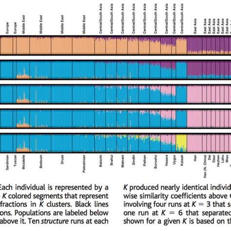 Pdf Are Clusters Races A Discussion Of The Rhetorical Appropriation