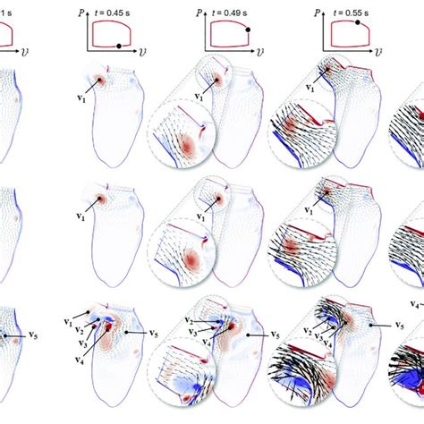 Snapshots Of The Velocity Vector And Vorticity Contour Fields