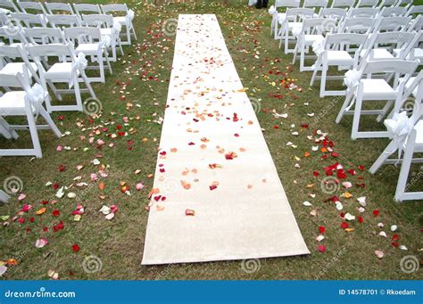 Bridal Runway Stock Image Image Of Hitched Runway Bridal 14578701