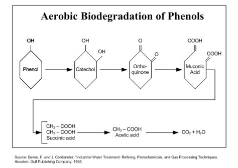 Phenol Oxidation