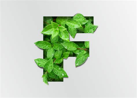 green typography  behance