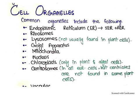 SOLUTION: Cell organelles cell membrane and plasma membrance - Studypool