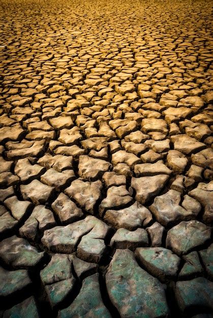 Suelo Seco Agrietado En La Provincia De La Pampa Argentina Foto Premium