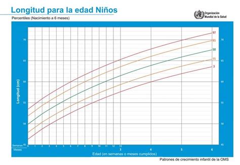 Todo Sobre Los Percentiles Y El Crecimiento En Niños Deusto Salud