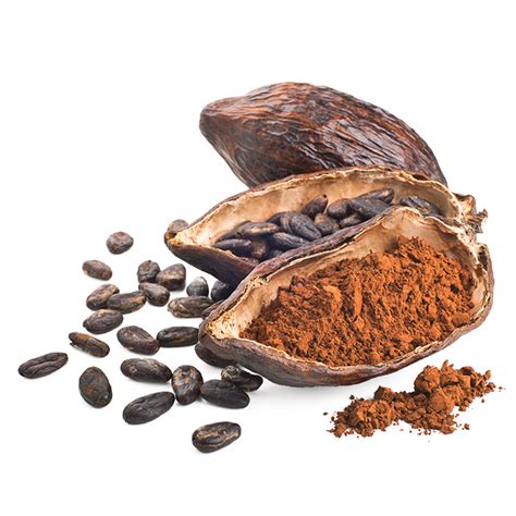 Cocoa Beans Png Transparent Images