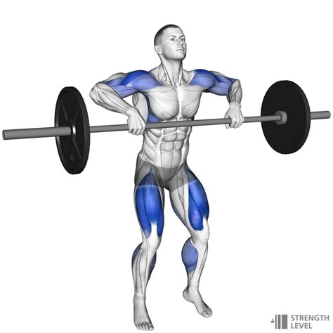 Hang Power Clean Standards For Men And Women Lb Strength Level