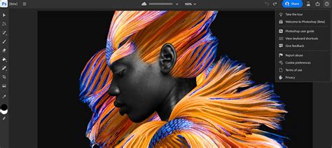 Top 8 Graphic Design Software For Beginners Animizer Blog